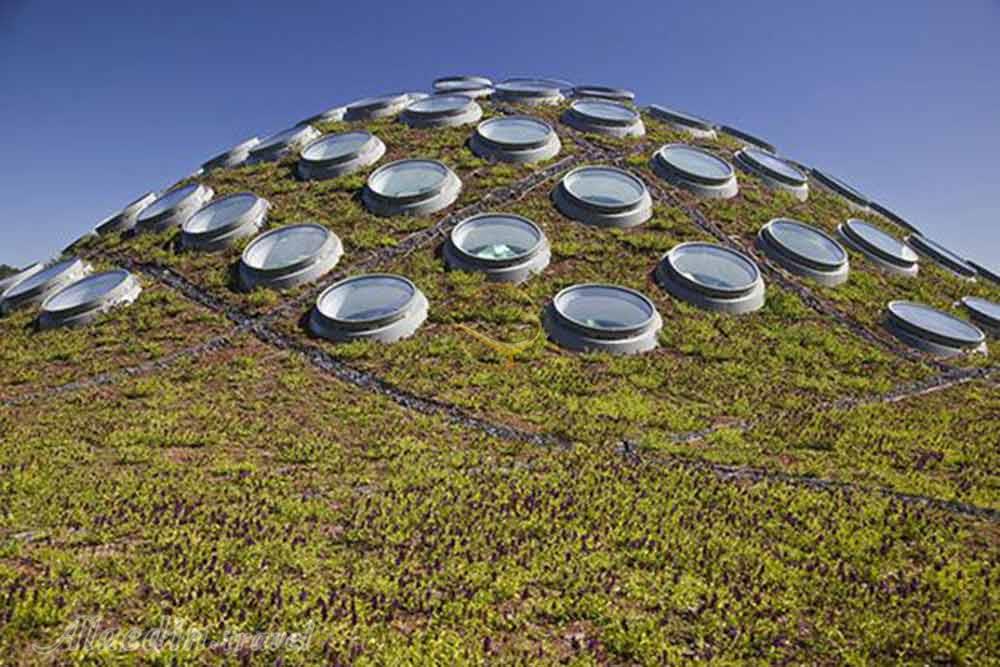 فرهنگستان علوم کالیفرنیا  | علاءالدین تراول