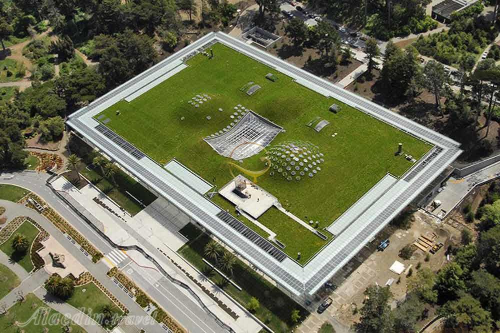 فرهنگستان علوم کالیفرنیا  | علاءالدین تراول