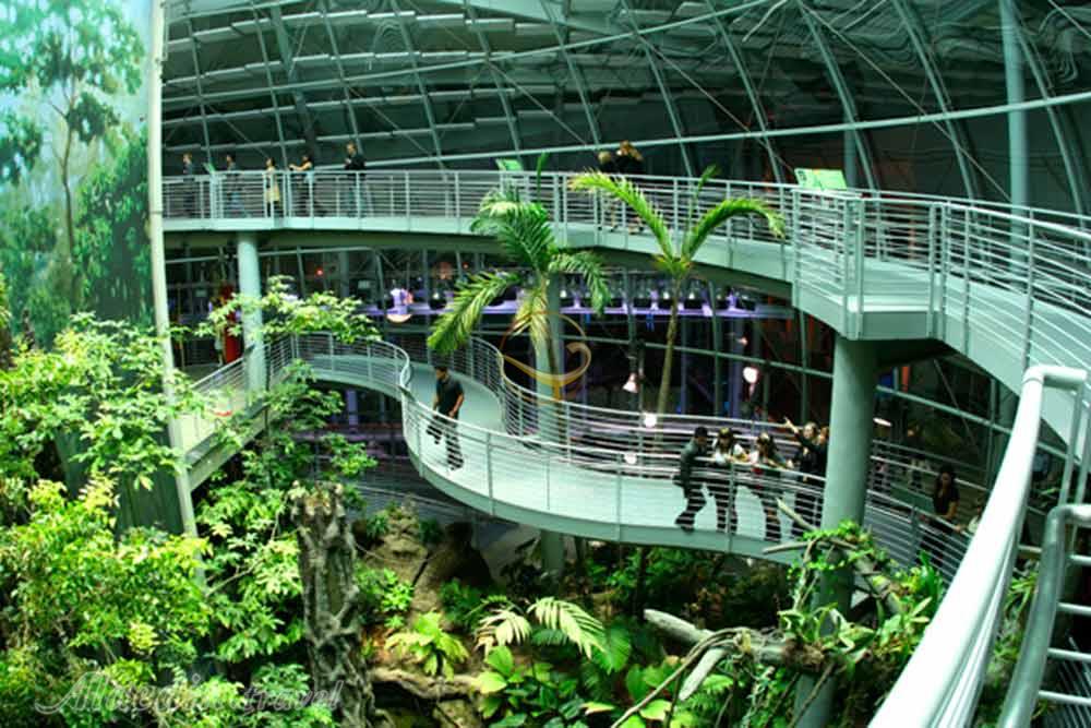 فرهنگستان علوم کالیفرنیا  | علاءالدین تراول