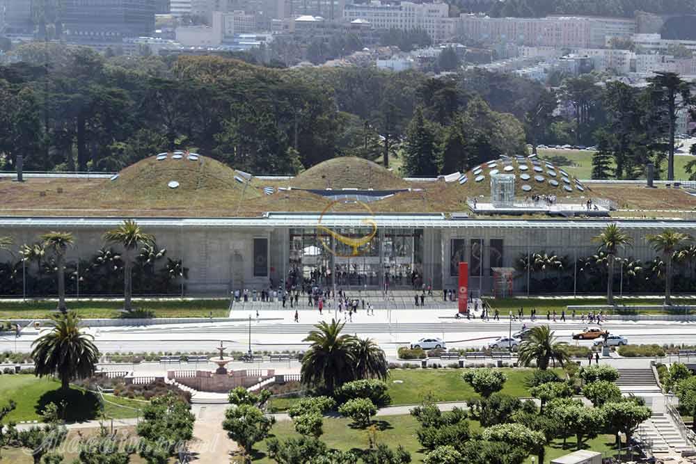 فرهنگستان علوم کالیفرنیا  | علاءالدین تراول