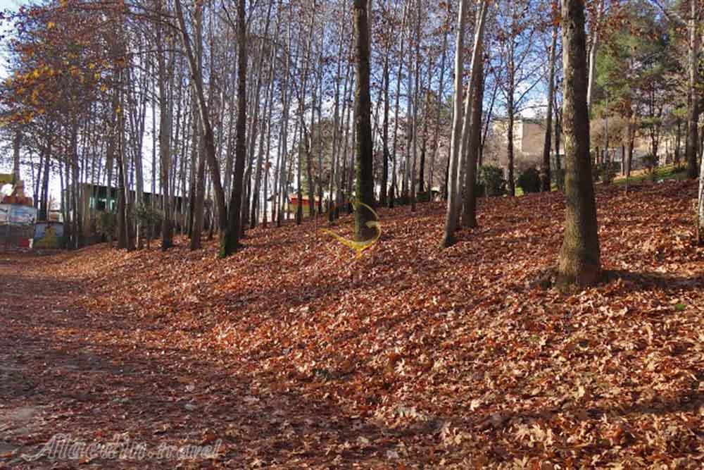 پارک دیدگاه سنندج | علاءالدین تراول