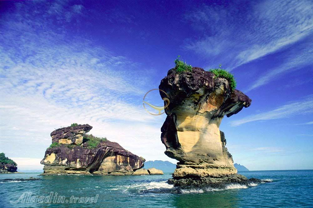 پارک ملی باکو در ساراواک | علاءالدین تراول