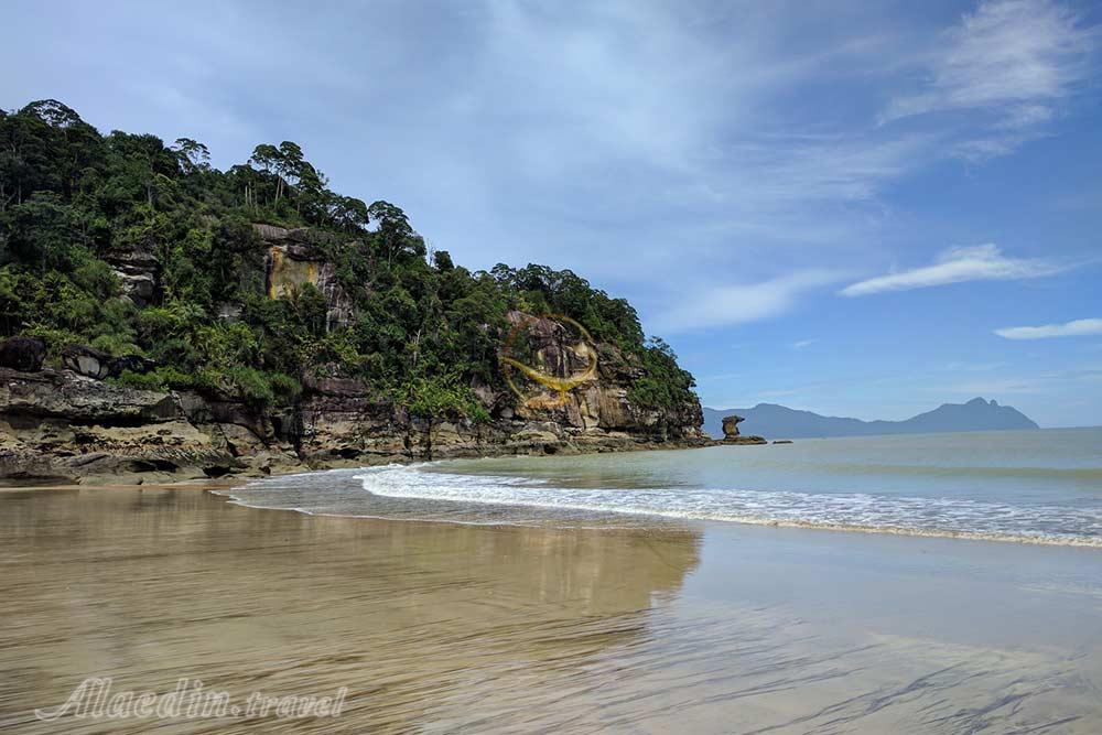 پارک ملی باکو در ساراواک | علاءالدین تراول