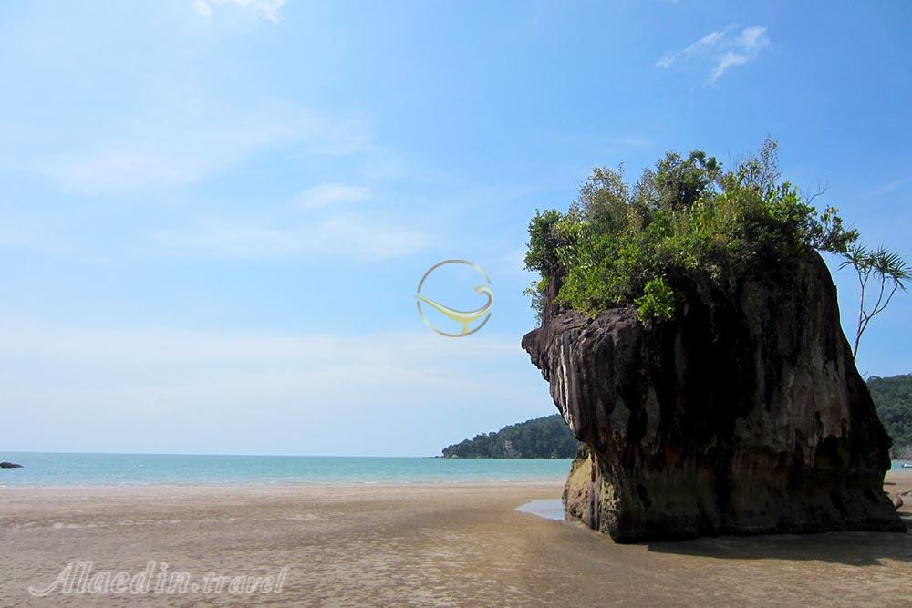 پارک ملی باکو در ساراواک | علاءالدین تراول