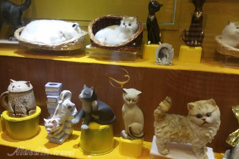 موزه گربه ساراواک | علاءالدین تراول