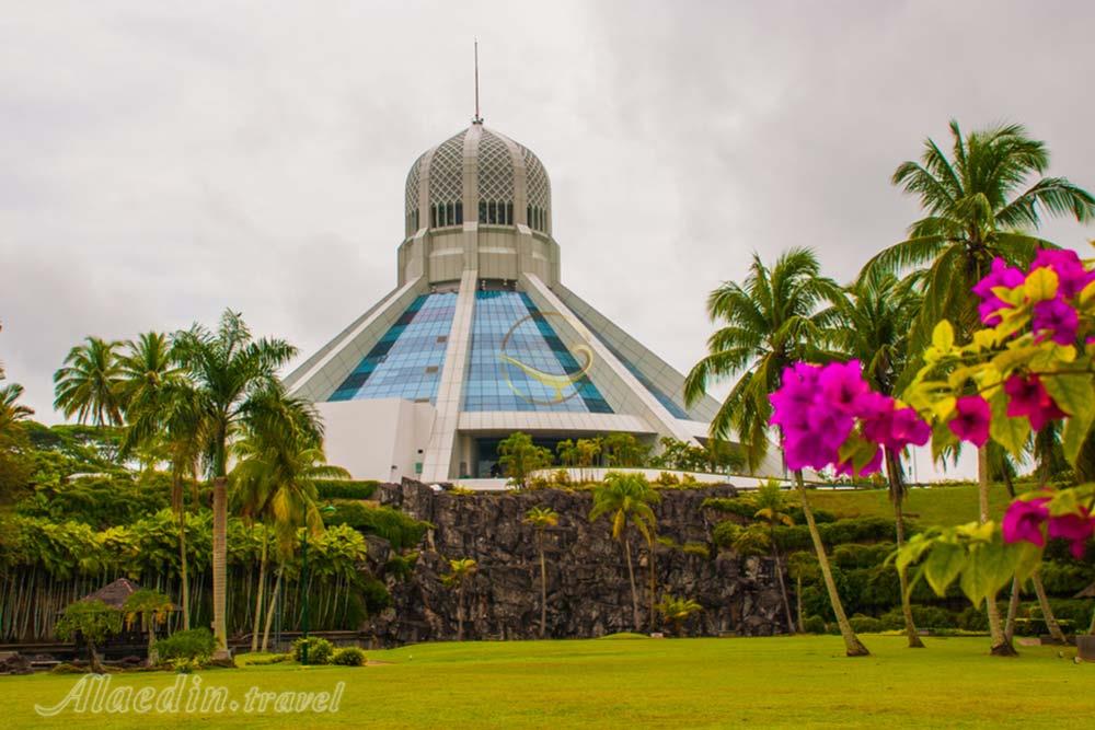 موزه گربه ساراواک | علاءالدین تراول