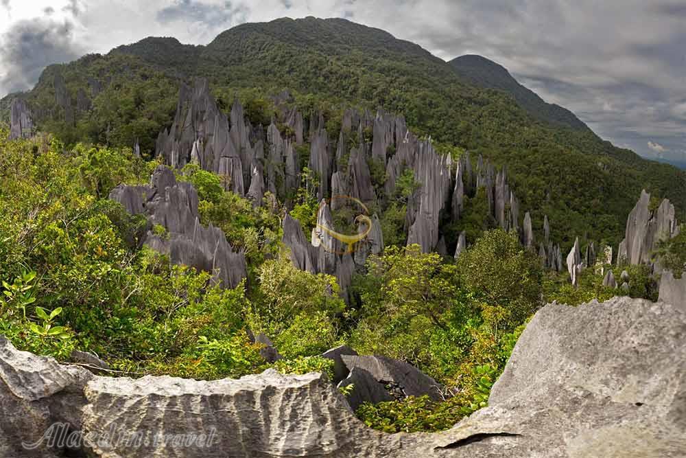 پارک ملی گونونگ مولو در ساراواک - مالزی | علاءالدین تراول