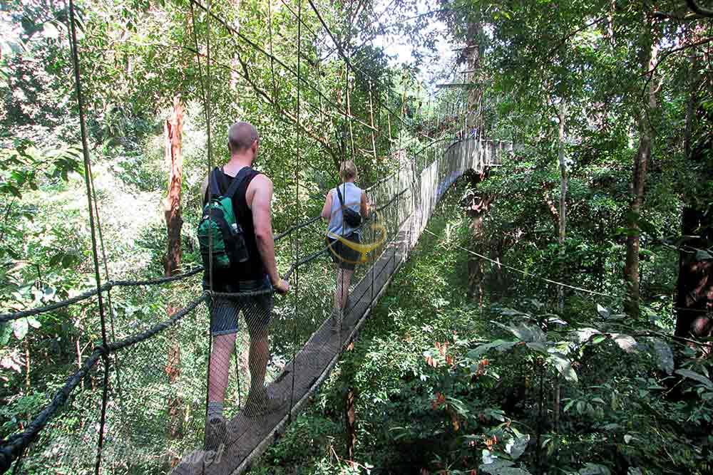 پارک ملی گونونگ مولو در ساراواک - مالزی | علاءالدین تراول
