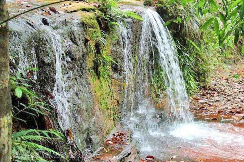 پارک ملی لمبیر هیلز ساراواک | علاءالدین تراول