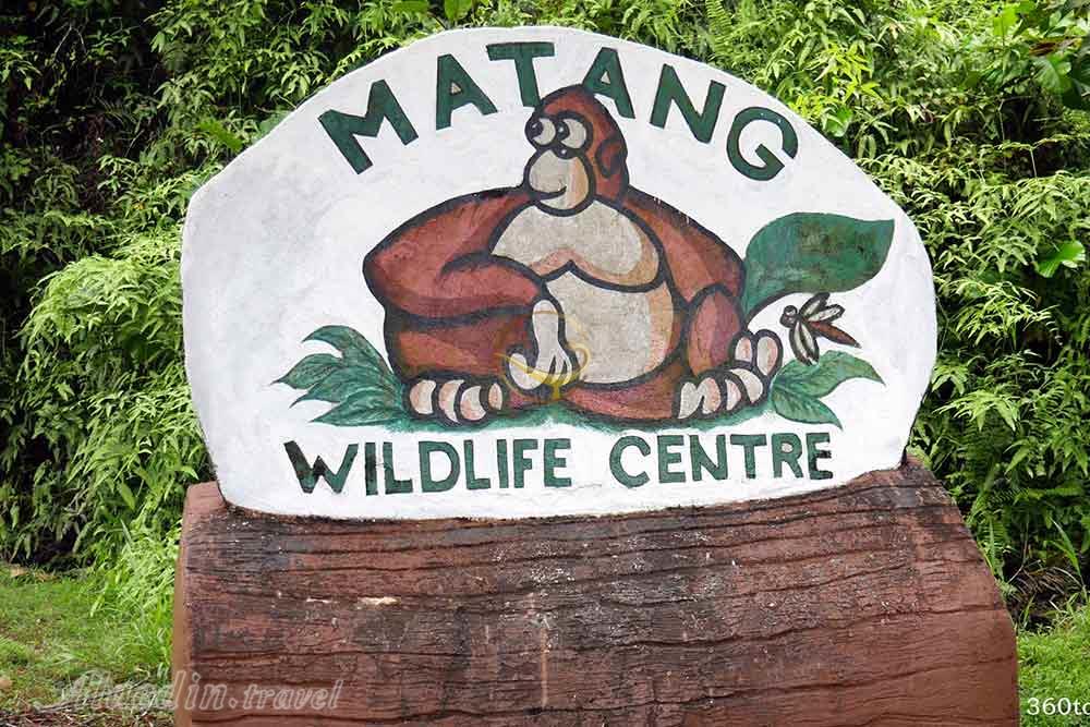 مرکز حیات وحش ماتانگ در ساراواک | علاءالدین تراول