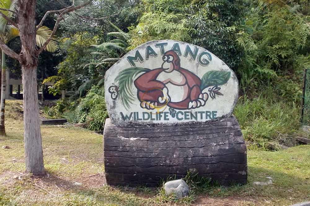 مرکز حیات وحش ماتانگ در ساراواک | علاءالدین تراول