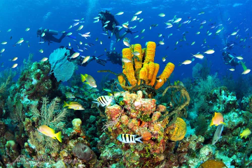 پارک ملی صخره های مرجانی میری سیبوتی ساراواک - مالزی | علاءالدین تراول