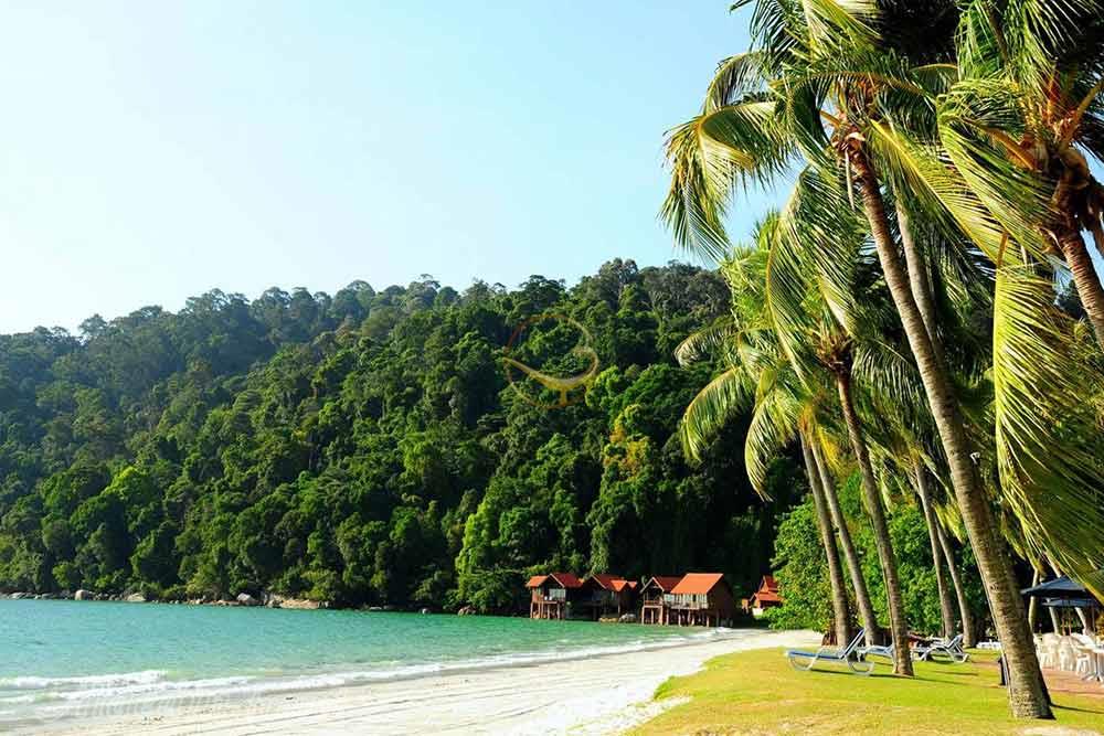 ساحل نخل سماتان ساراواک - مالزی | علاءالدین تراول