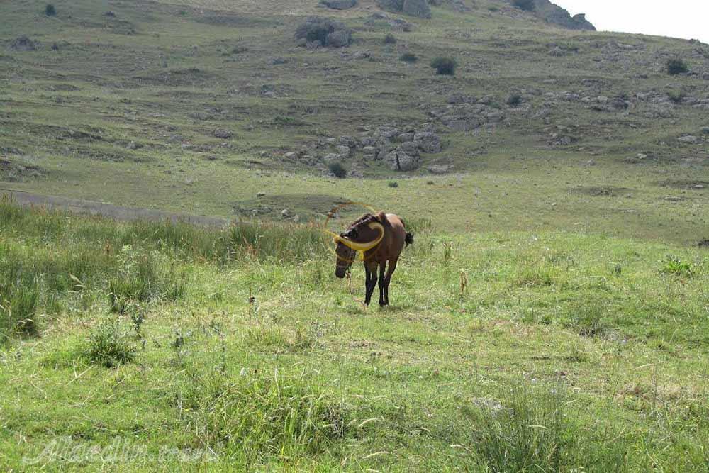 روستای آتشگاه سرعین | علاءالدین تراول