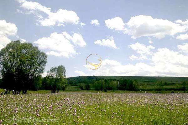 دره جنگلی ایردموسی سرعین