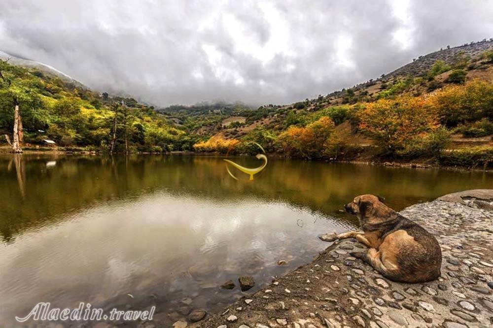 دریاچه شورمست سوادکوه | علاءالدین تراول