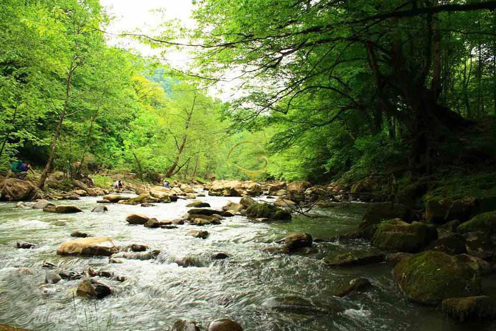 آبشار ترز سوادکوه | علاءالدین تراول