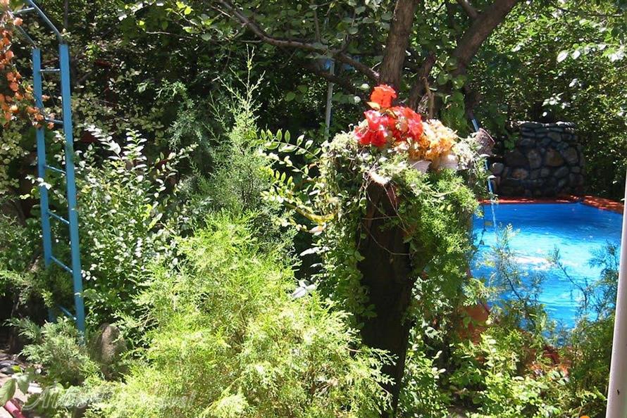 روستای ولیان ساوجبلاغ | علاءالدین تراول