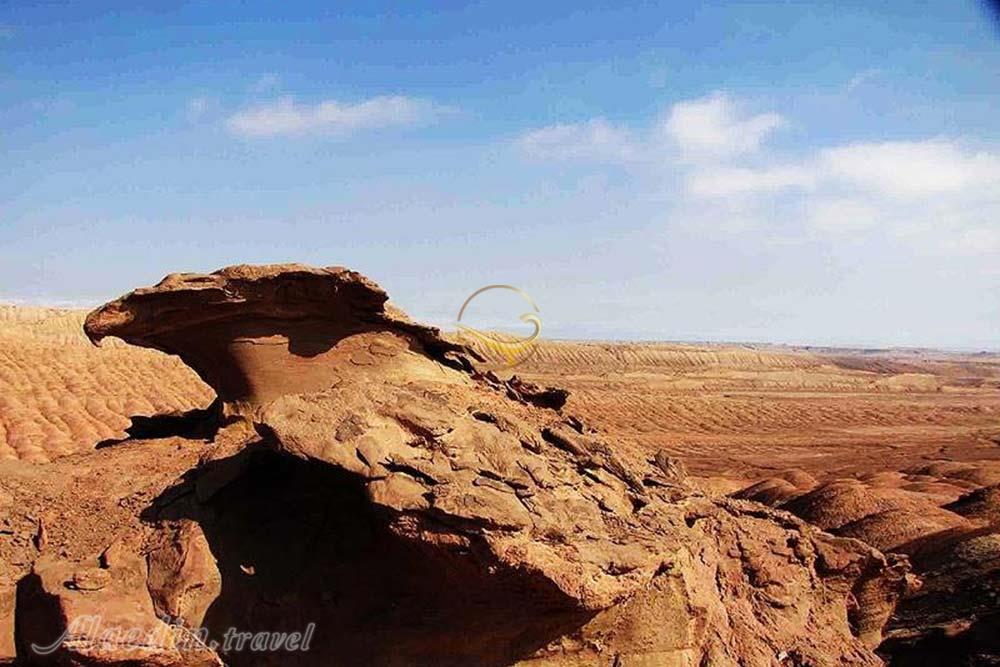 کویر کوه سرخ و پرنده همای سعادت سمنان | علاءالدین تراول