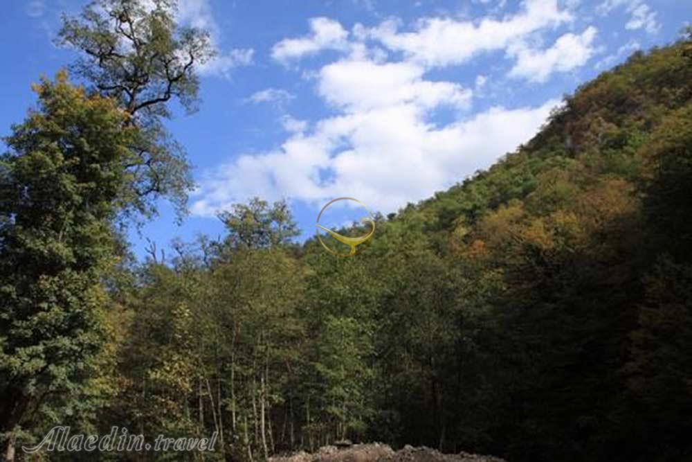 پارک جنگلی سوکان در سمنان | علاءالدین تراول