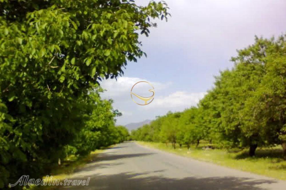 دهستان خبر در شهر بابک | علاءالدین تراول