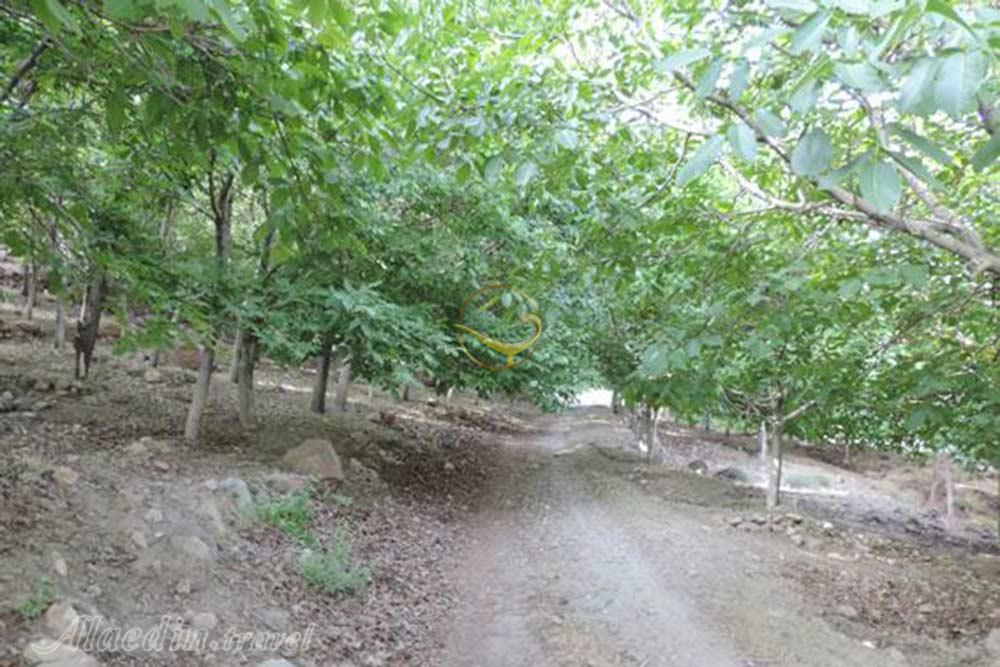 روستای مسینان در شهر بابک | علاءالدین تراول