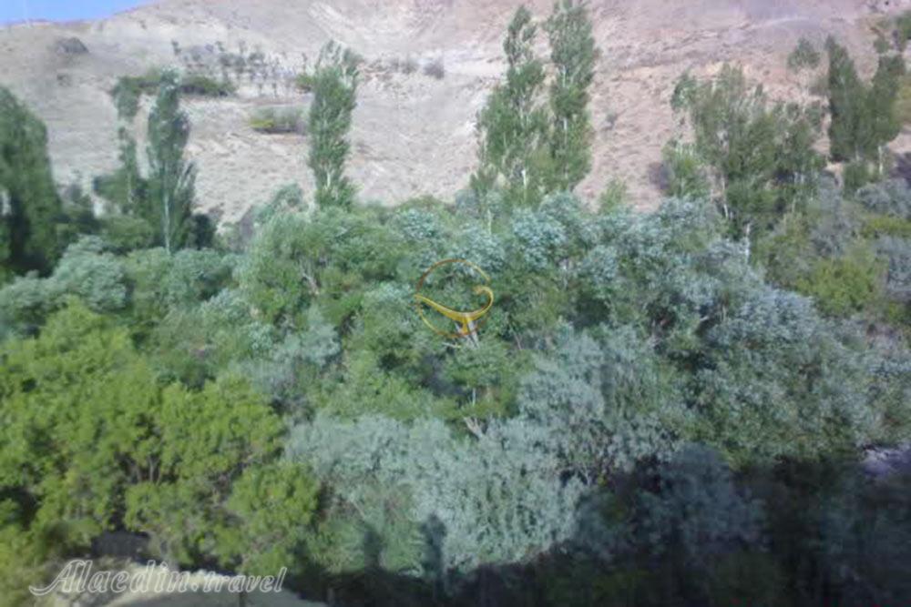 روستای مسینان در شهر بابک | علاءالدین تراول