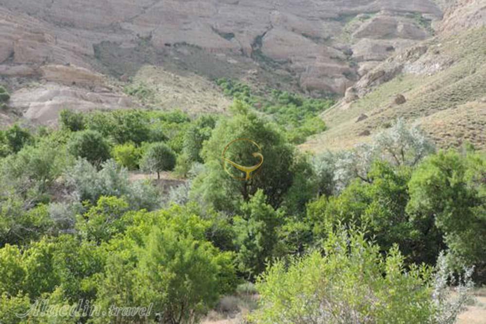 روستای مسینان در شهر بابک | علاءالدین تراول