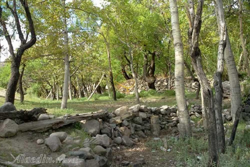 روستای مسینان در شهر بابک | علاءالدین تراول