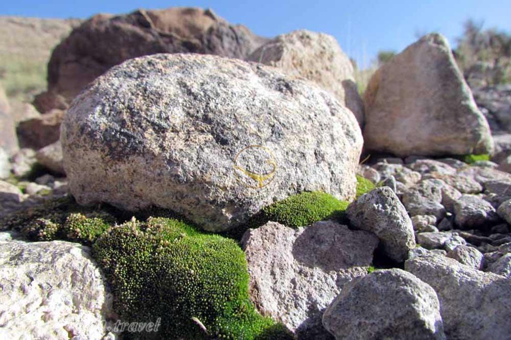 روستای ریسه و پاقلعه در شهر بابک | علاءالدین تراول