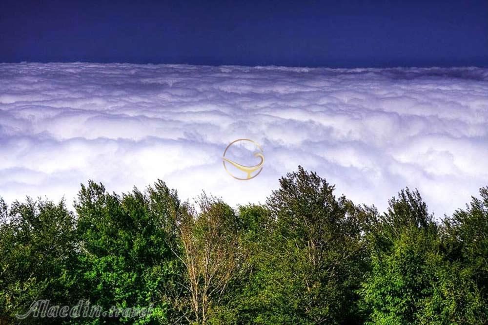 جنگل ابر شاهرود | علاءالدین تراول