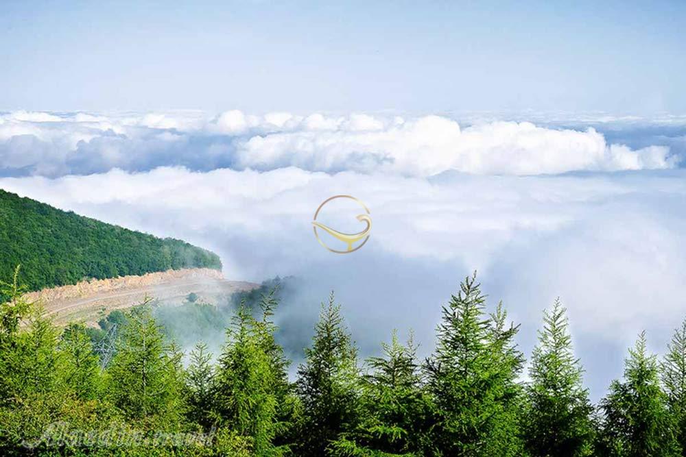 جنگل ابر شاهرود | علاءالدین تراول