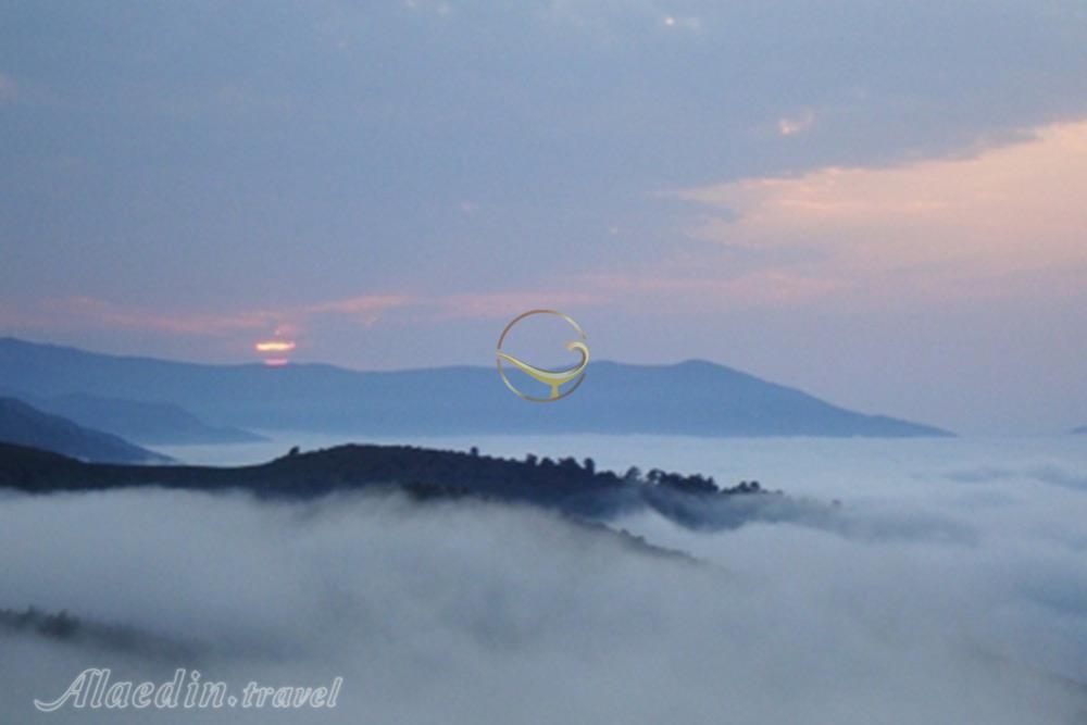 جنگل قطری شاهرود | علاءالدین تراول