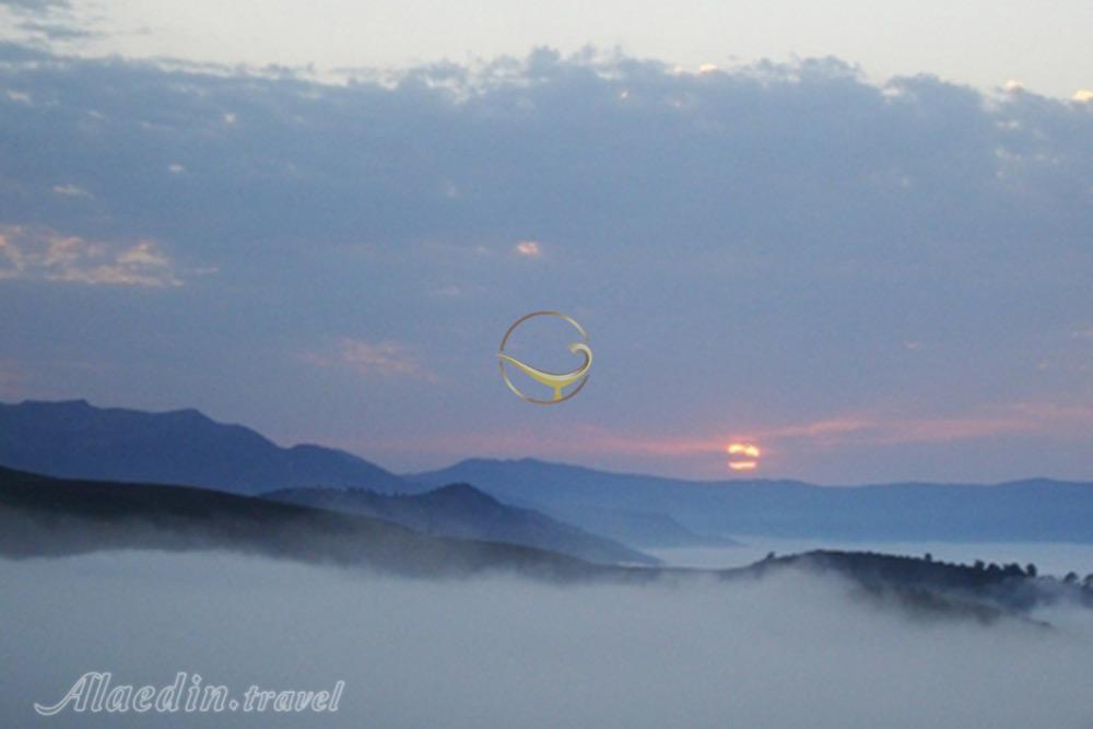 جنگل قطری شاهرود | علاءالدین تراول