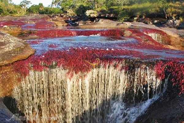 چشمه هفت رنگ شهر مجن در شاهرود
