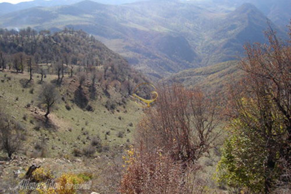 منطقه حفاظت شده خوش ییلاق شاهرود | علاءالدین تراول