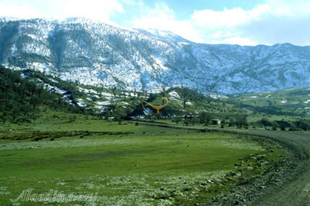 جنگل اولنگ شاهرود | علاءالدین تراول