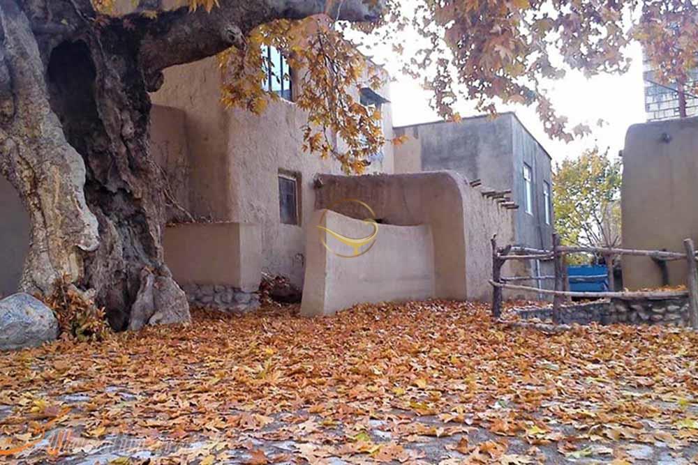 روستای قلعه بالا شاهرود | علاءالدین تراول