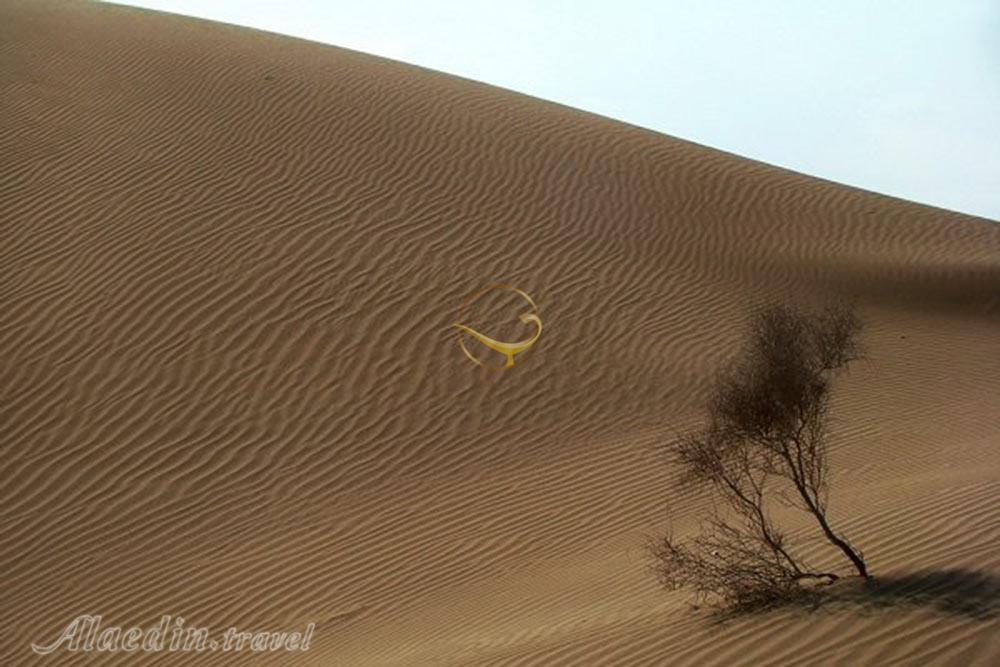 روستای رضا آباد خوارتوران در شاهرود | علاءالدین تراول