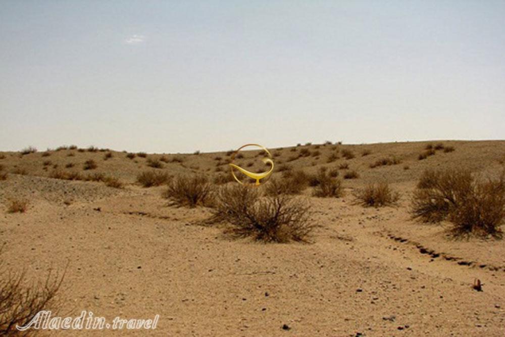 پناهگاه حیات وحش توران در شاهرود | علاءالدین تراول