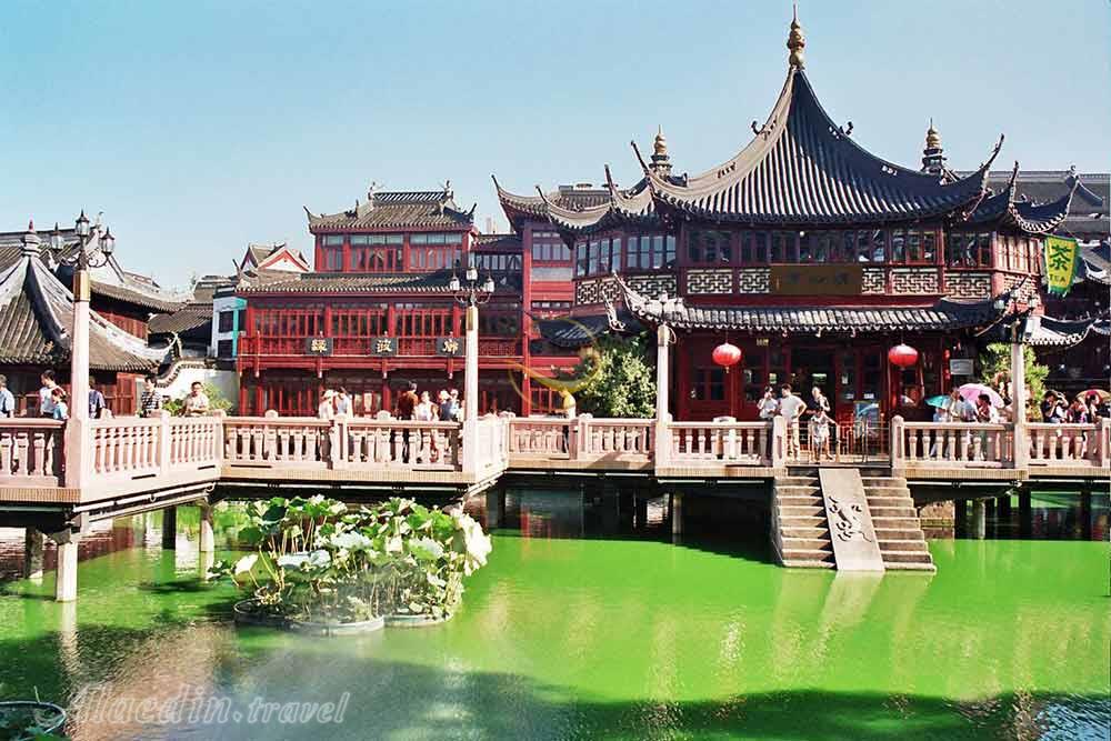 باغ یو شانگهای در شانگهای | علاءالدین تراول