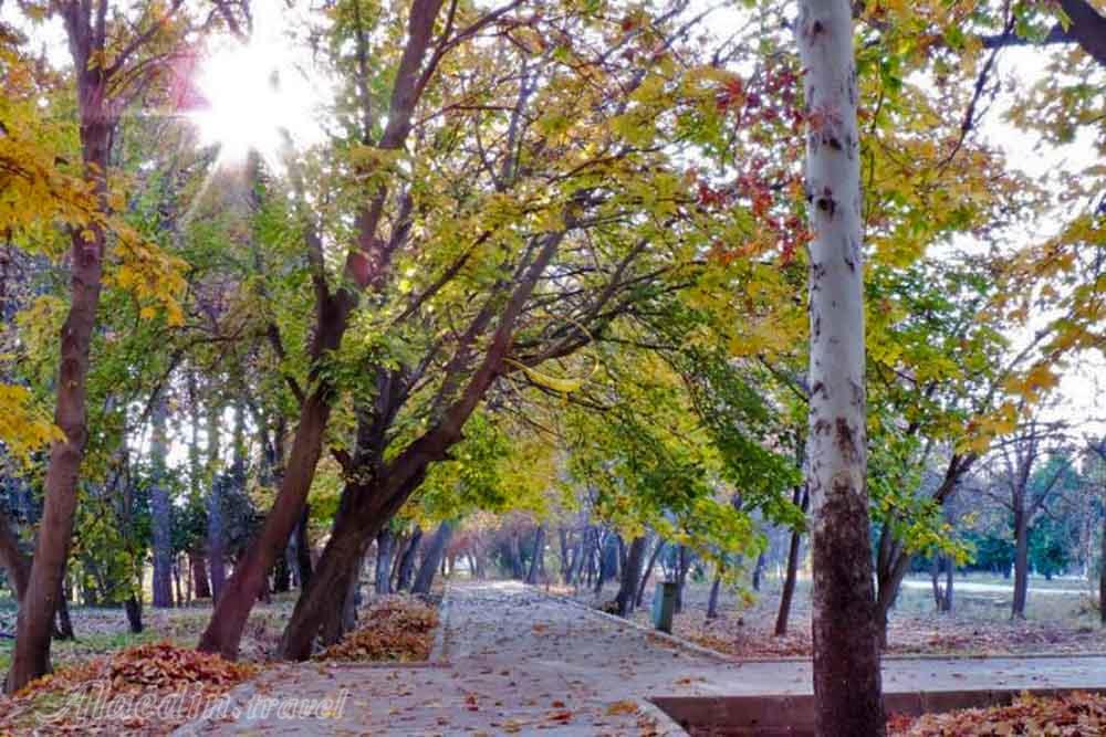 باغ عفیف آباد شیراز | علاءالدین تراول