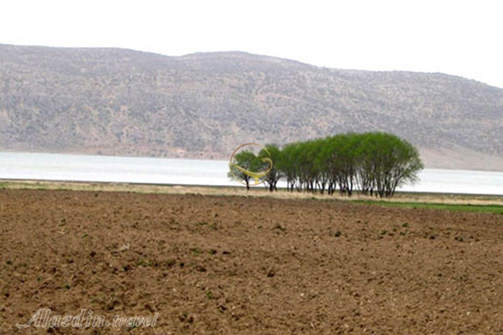 منطقه حفاظت شده ارژن شیراز | علاءالدین تراول