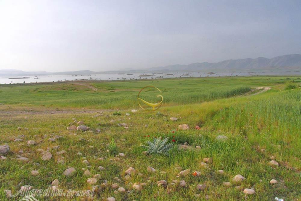 منطقه حفاظت شده ارژن شیراز | علاءالدین تراول