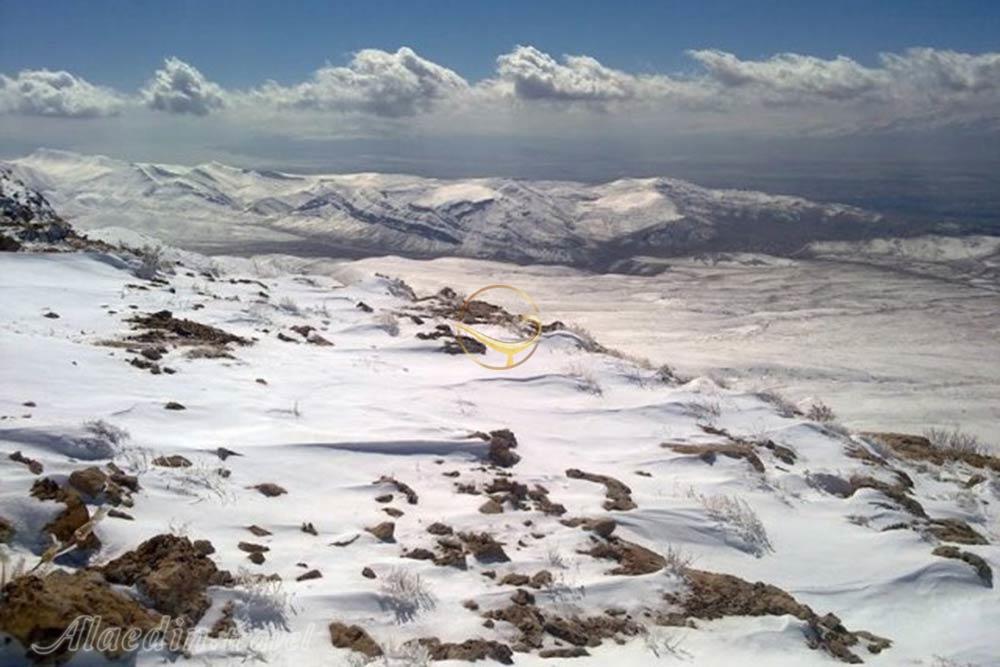 پارک ملی بمو شیراز | علاءالدین تراول