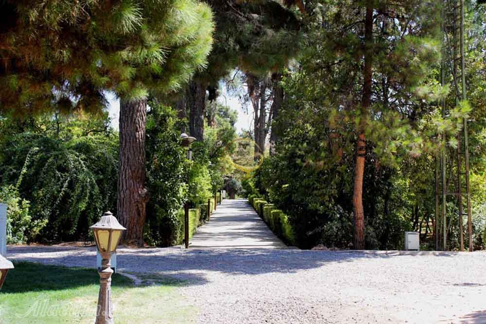 باغ ارم شیراز - باغ های ایرانی | علاءالدین تراول