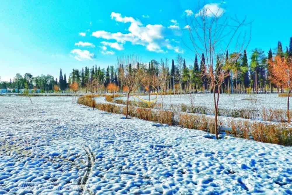 برف در باغ جنت شیراز | علاءالدین تراول