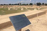 کاخ شاوور شوش