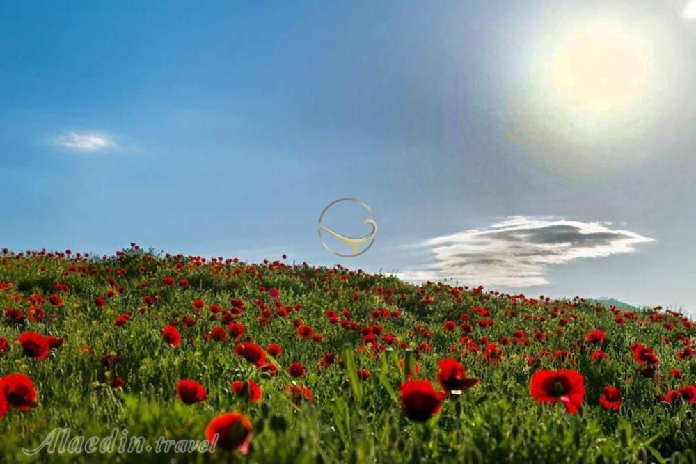 ییلاقات مرتفع دیلمان در سیاهکل | علاءالدین تراول