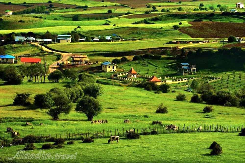 ییلاقات مرتفع دیلمان در سیاهکل | علاءالدین تراول